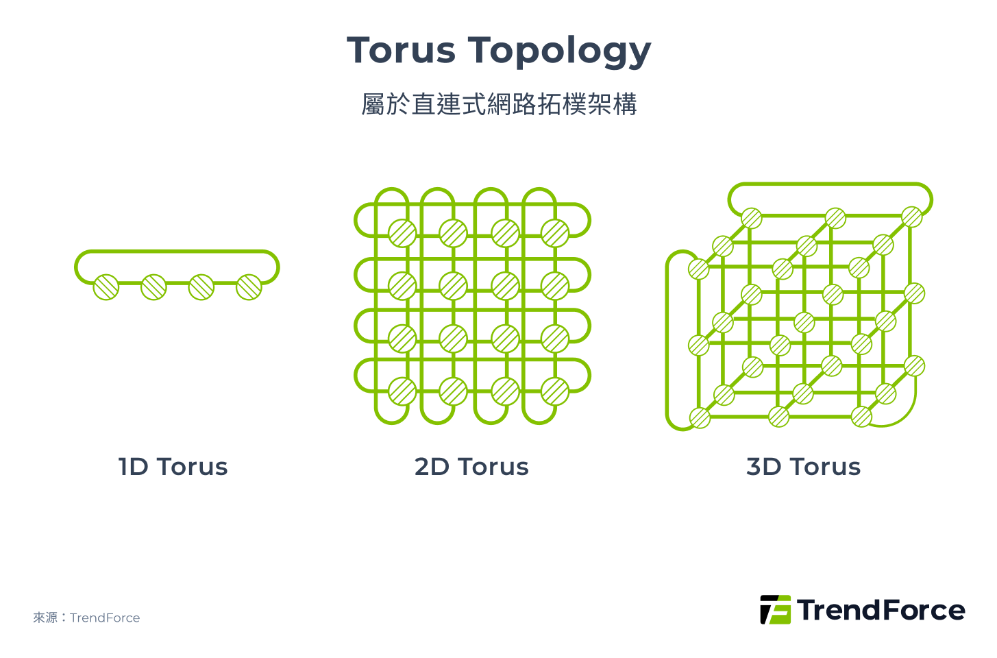 Torus Topology